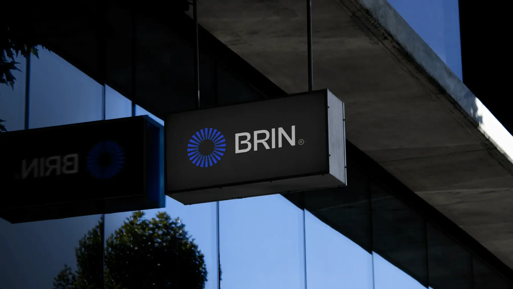 Brin — Growth tech · Marketing e IA